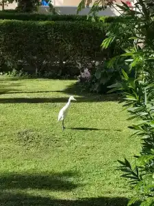 Mirage Bay Resort & Aqua Park - 26