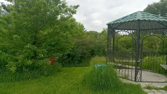 Sanatorium Sosnovyy bor - 71