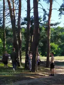 Les - 14