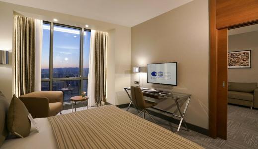 Radisson Blu Ankara Cankaya - 46
