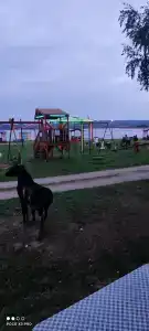 Zolotye peski - 89