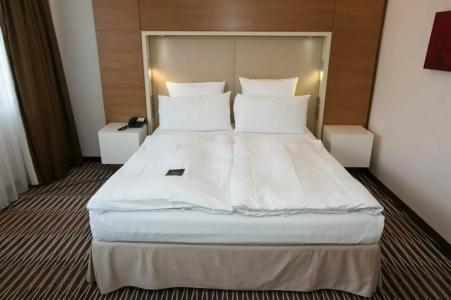 Pullman Berlin Schweizerhof - 19