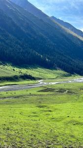 Ala-Kul guesthouse in Altyn-Arashan - 5