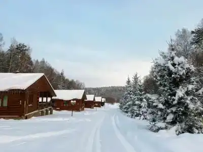 Экопарк Бобровый мыс - 1