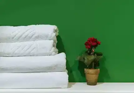 Vyimpel Mini-Hotel - 21