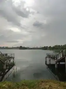 Piknikovyy ray - 57