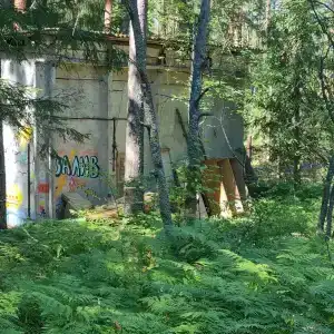Zaliv - 15