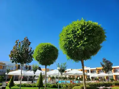 ЛетоoтеЛь - 47