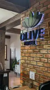 Olive - 1