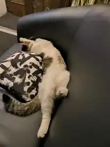 Дом Паломника корпус 2 - 61