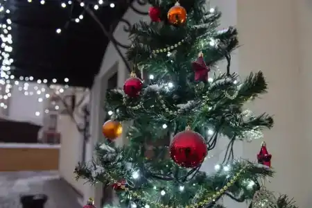 Stariy Dvorik on Orlovskaya - 46