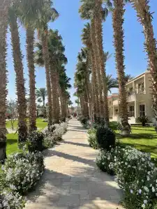 Beach Albatros Resort - 56