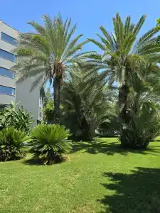 Royal Diwa Tekirova Resort - Ultra All Inclusive - 91