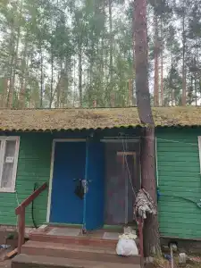 Zaliv - 80