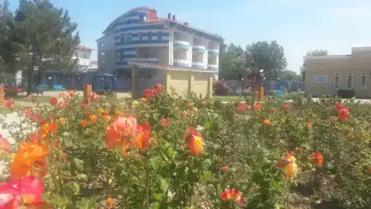 Zvezdochka-Yug - 25