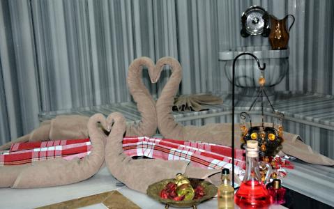 Garden Kale Thermal - 43