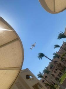 Pickalbatros Aqua Blu Resort - - 56