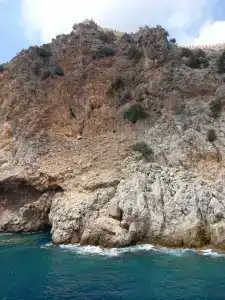 Asteria Collection - 60