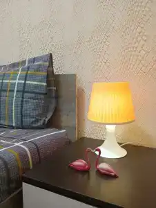 Bestuzhev Gostinica - 28