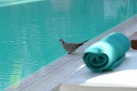 Les Jardins De La Médina - 12