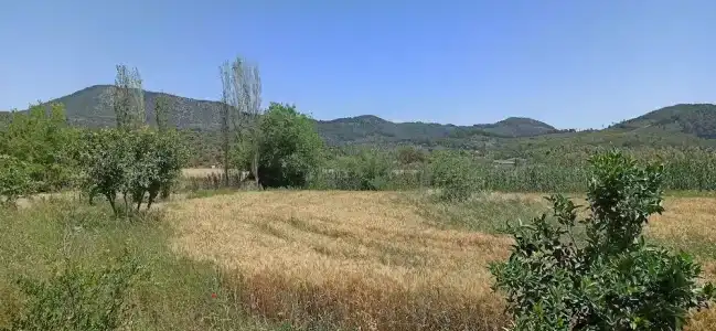 Airport Guest House - 17