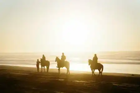 Sofitel Agadir Thalassa Sea & Spa - 22