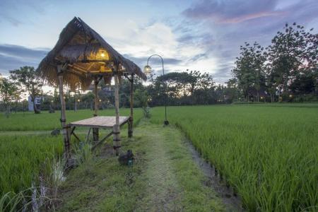 KajaNe Yangloni at Ubud - 32