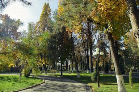 Residence Park - 34