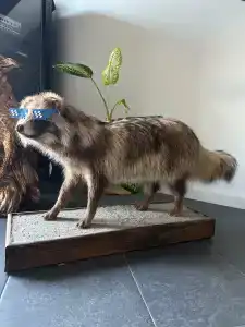 Alpha Garden Guest House - 19