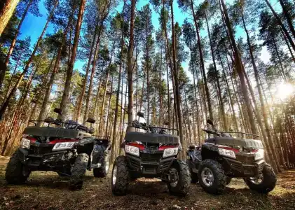 Донской лес - 28