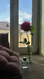 Mariposa Boutique-hotel - 44