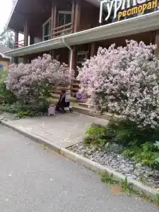 Zhemchuzhina Zolotogo Koltsa - 35