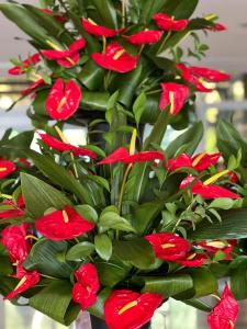 Corendon Playa Kemer - 81