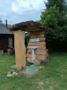 Snezhnyy Bars - 77