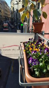 B&B A casa di Grazia - 11
