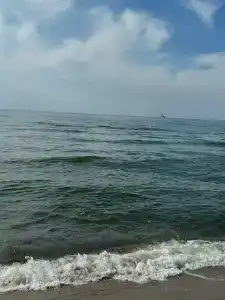 Frische Nehrung - 26