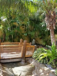 Coconut Cove All-Suite - 19