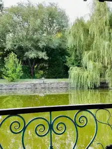 Zagorodny Klub Kura Tse Tse - 38