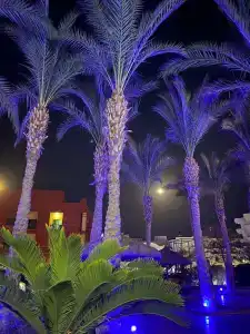 Sun & Sea and Aqua Park - - 7