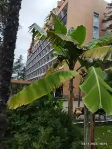 Belarus Sanatorium - 44