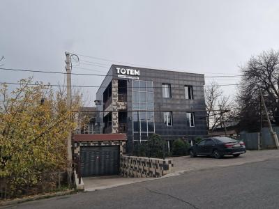 Totem - 26