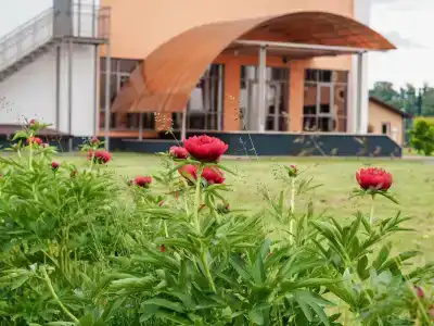 Spasskoe Park-Hotel - 33