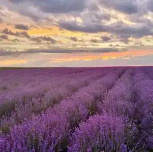 ZaGrad Tourist base - 19