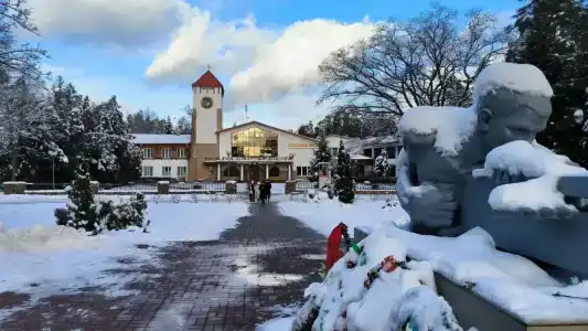 Complex Kamenyuky - 8