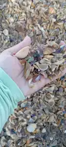 Гостиничний Комплекс Европа - 68