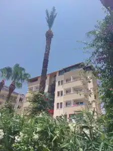 Sarıtaş - All Inclusive - 33