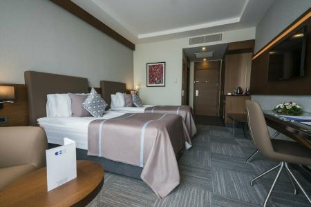 Radisson Blu Ankara Cankaya - 99