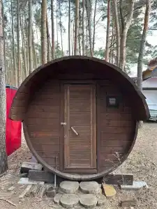Березка - 43