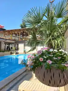 Кардинал - 66