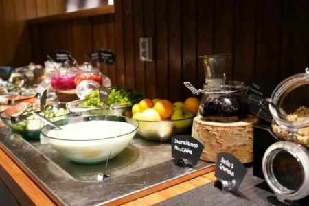 Santa's Aurora & Igloos - 33